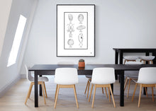 Load image into Gallery viewer, Kaimoana
