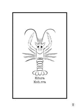 Load image into Gallery viewer, Kōura
